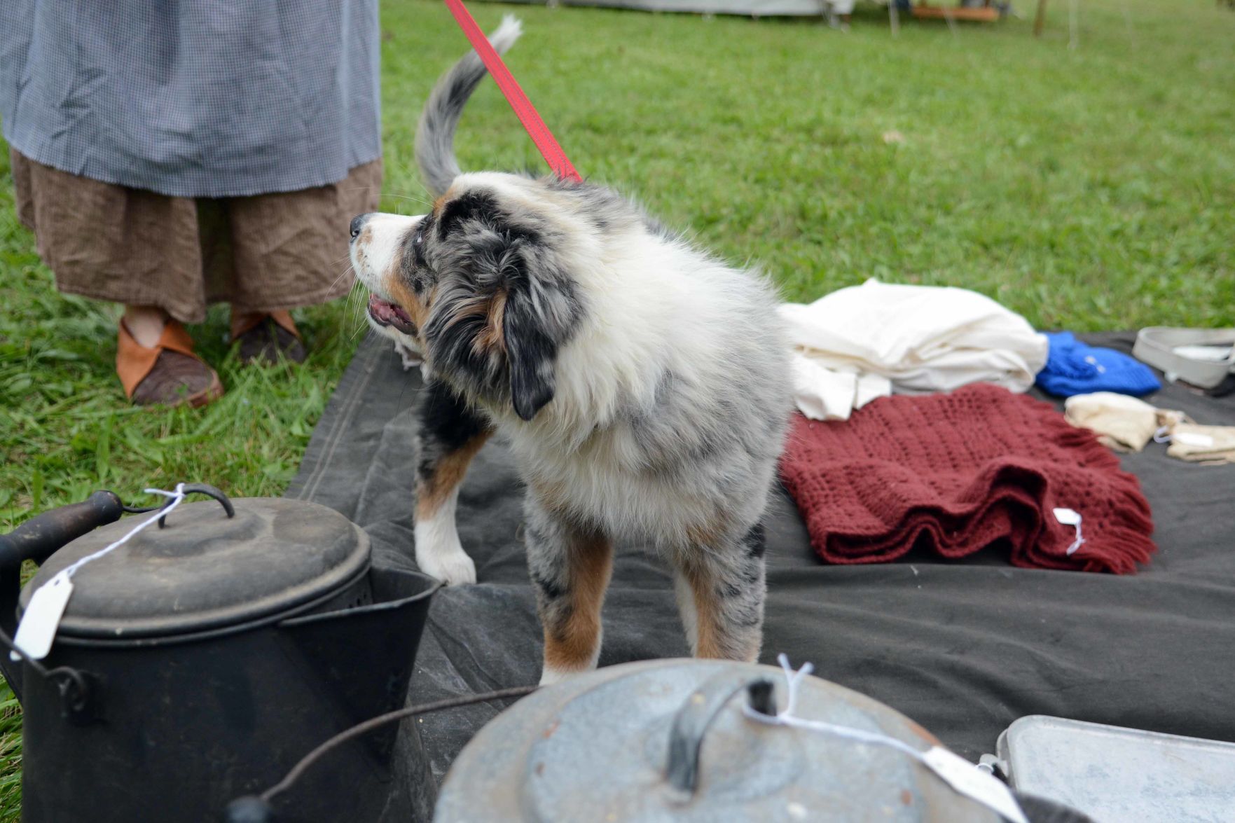 Scenes from the Baraboo River Rendezvous